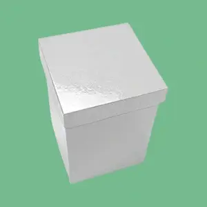 custom-printed-white-glossy-boxes