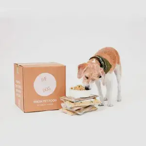 dog-food-boxes